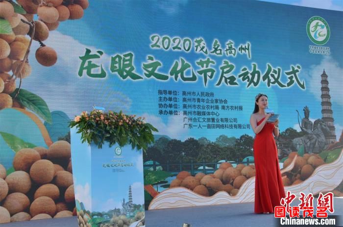 广东高州市龙眼文化节启动母树鲜果拍得68万元