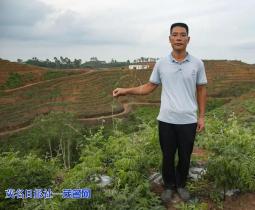 退役军人江海峰靠种植这个创业创出新天地