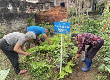 茂名“双百工程”五年深耕：织密民生保障网，绘就服务暖心图